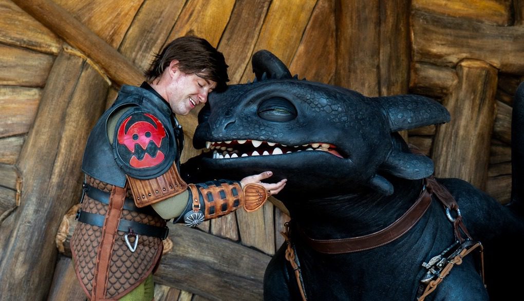 Hiccup, Toothless