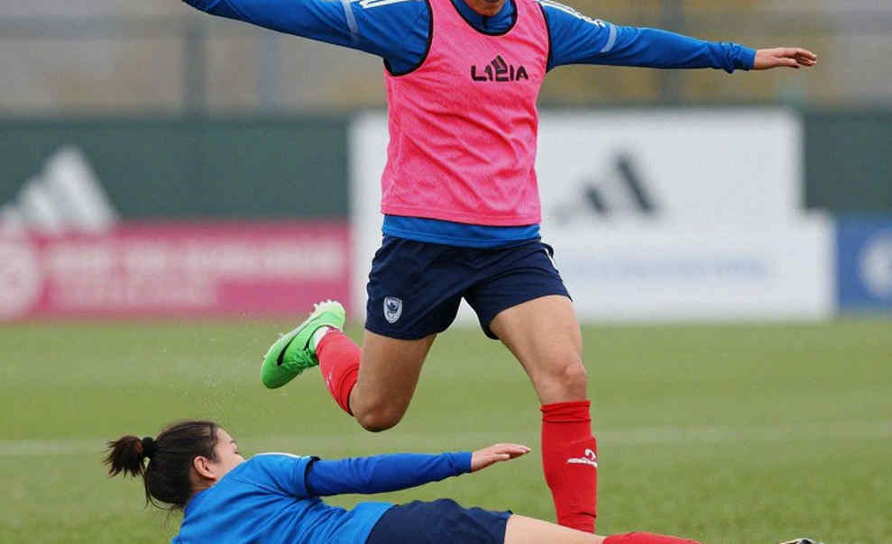 The Free Agent Trap: Milan's Left-Flank Crisis and the Guerreiro Contract Calculus The Free Agent Trap: Milan's Left-Flank Crisis and the Guerreiro Contract Calculus